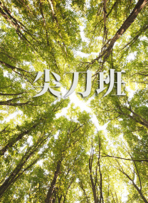 欧美一级高清片免费一级